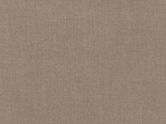 Cedar